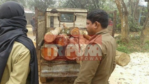 Vehicle with woods seized by Forest Dept.